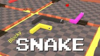 Blocky Snake