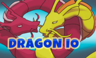 Dragon IO