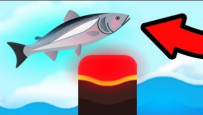 Salmonz.io